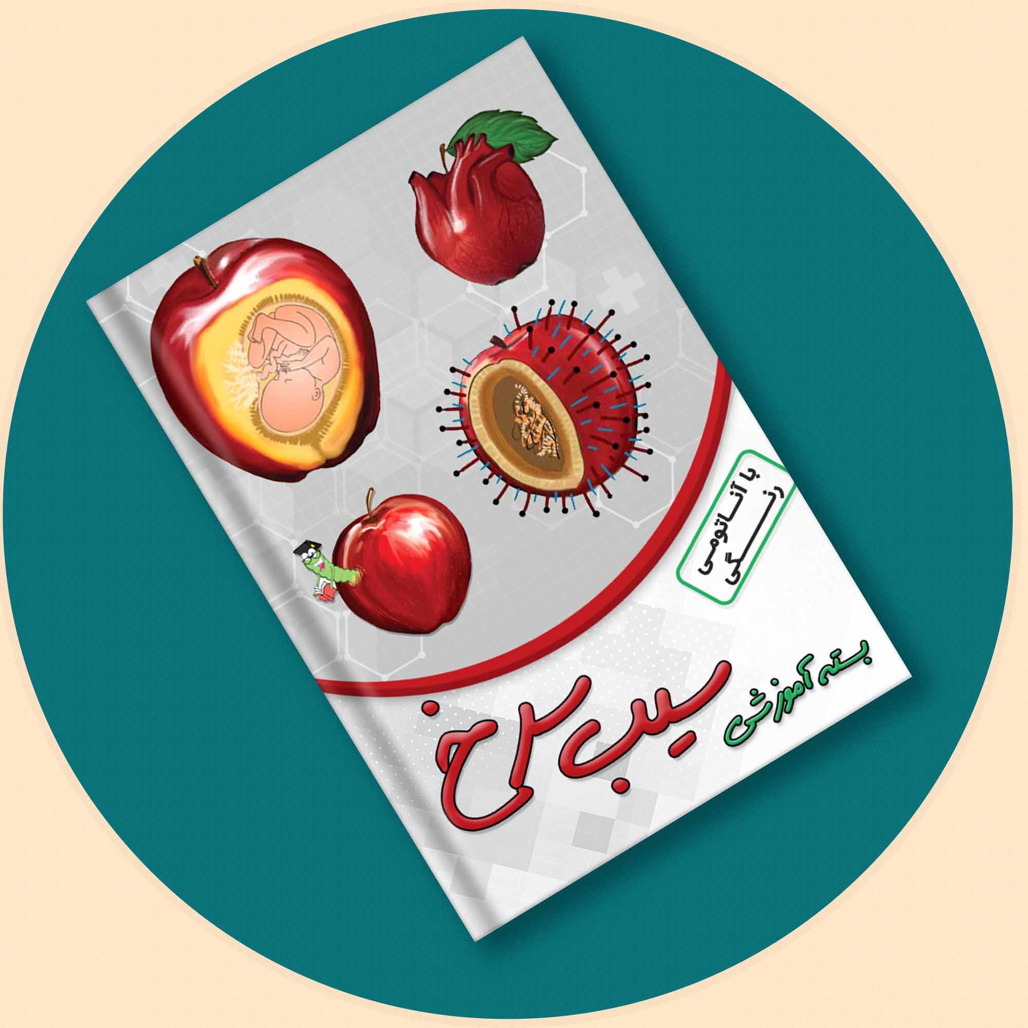 بسته کتاب آموزشی سیب سرخ پزشکی با آناتومی رنگی